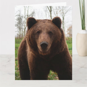 GRIZZLY BEAR BIRTHDAY GREETING CARD