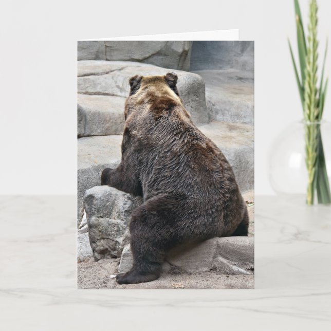 Grizzly Bear Birthday Humour Card (Front)