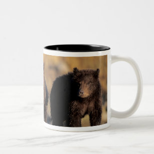 Grizzly bear, brown bear, cubs, Katmai National Two-Tone Coffee Mug