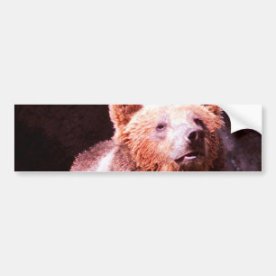 grizzly bear bumper sticker