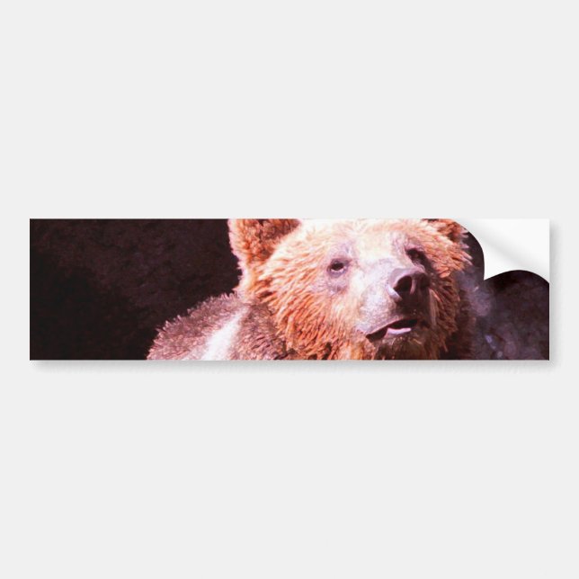 grizzly bear bumper sticker (Front)