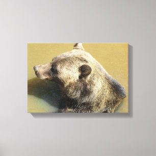 Grizzly Bear Canvas Print