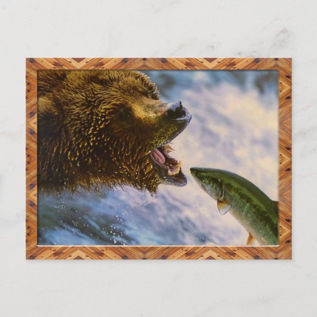 Grizzly Bear Catching Steelhead Salmon Postcard (Front)