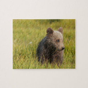 Grizzly Bear Cub Jigsaw Puzzle