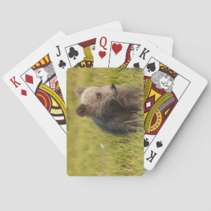 Grizzly Bear Cub Playing Cards