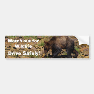 GRizzly Bear Cub Wildlife Supporter Bumper Sticker