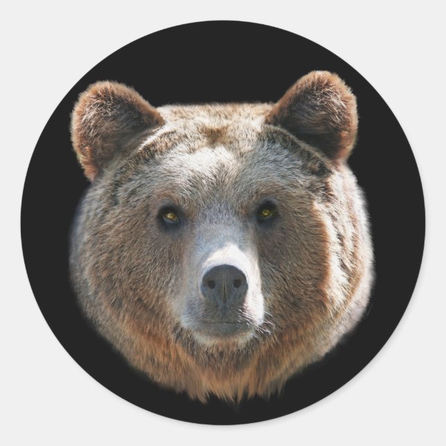 Grizzly Bear Face Classic Round Sticker (Front)