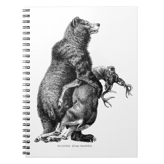 Grizzly bear Hunting Deer Simple Drawing Notebook (Front)