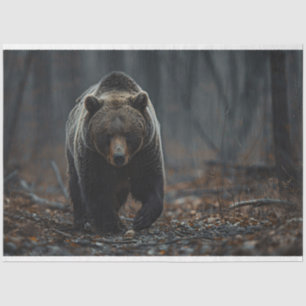 Grizzly Bear in the Woods Decoupage Tissue Paper