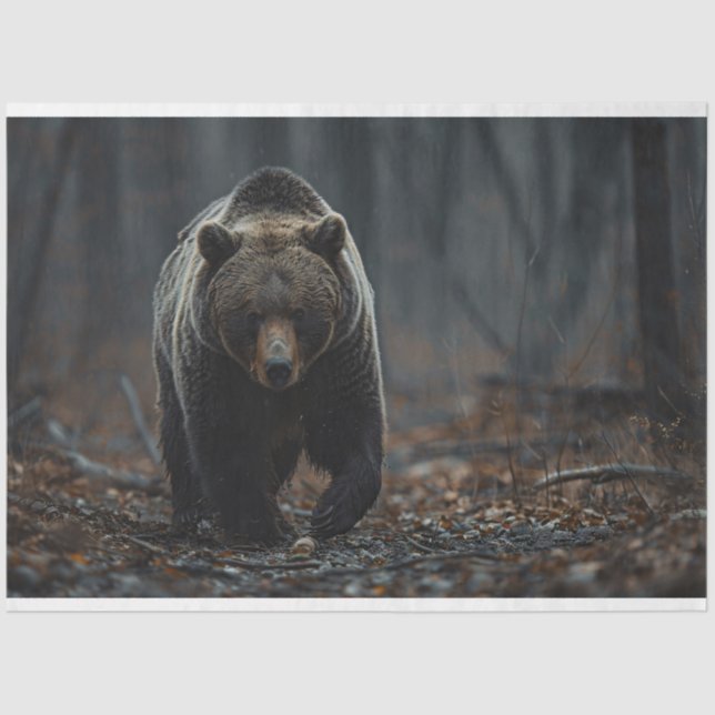 Grizzly Bear in the Woods Decoupage Tissue Paper (Front)