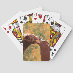Grizzly Bear Mom and Cub Painting - Wildlife Art Playing Cards