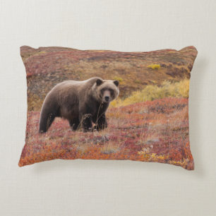 Grizzly Bear Moves Through Autumn Colours In Accent Pillow