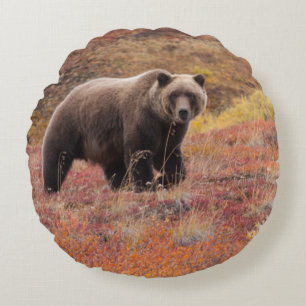 Grizzly Bear Moves Through Autumn Colours In Round Pillow