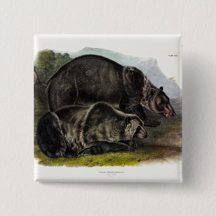 Grizzly Bear (North American Brown Bear) - Audubon 2 Inch Square Button