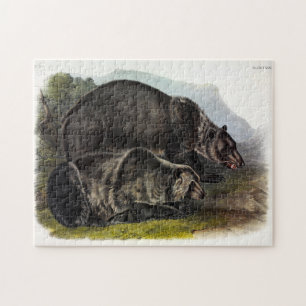 Grizzly Bear (North American Brown Bear) - Audubon Jigsaw Puzzle