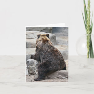 Grizzly Bear On a Rock Card