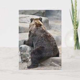 Grizzly Bear on rock birthday humour Card