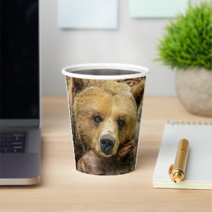 Grizzly Bear Paper Cups
