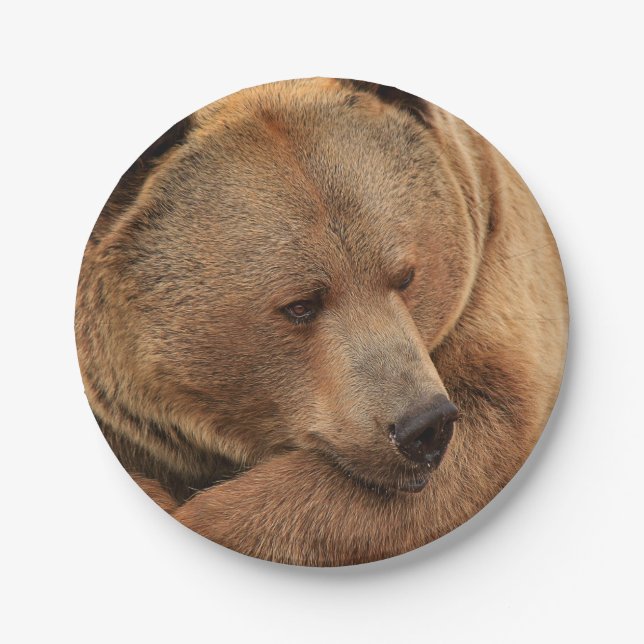 Grizzly Bear Paper Plates (Front)