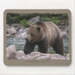 Grizzly Bear - Pastels Mouse Pad
