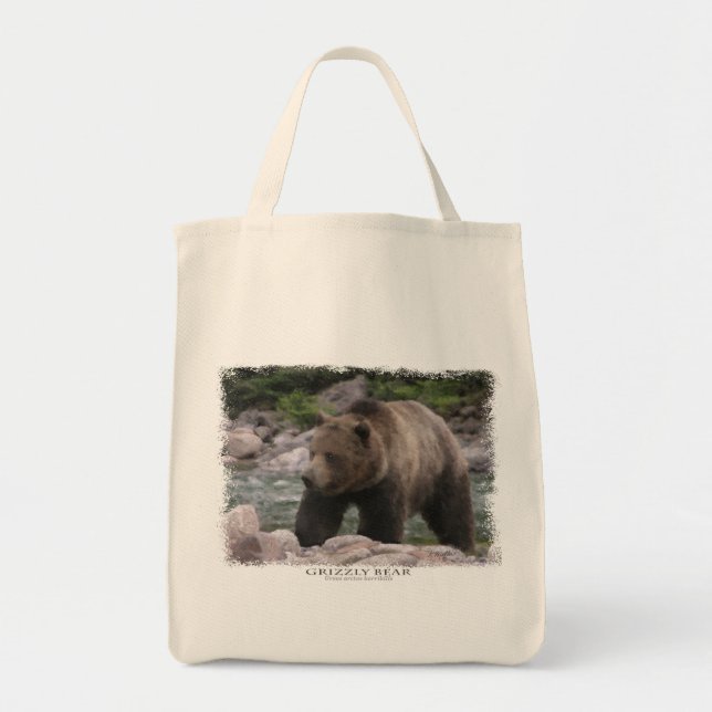 Grizzly Bear - Pastels Tote Bag (Front)