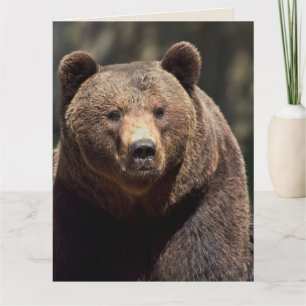 GRIZZLY BEAR PHOTOGRAPHY BIRTHDAY CARD