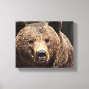 GRIZZLY BEAR PHOTOGRAPHY WRAPPED CANVAS