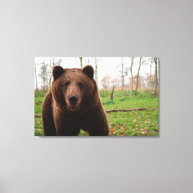 GRIZZLY BEAR PHOTOGRAPHY WRAPPED CANVAS (Front)