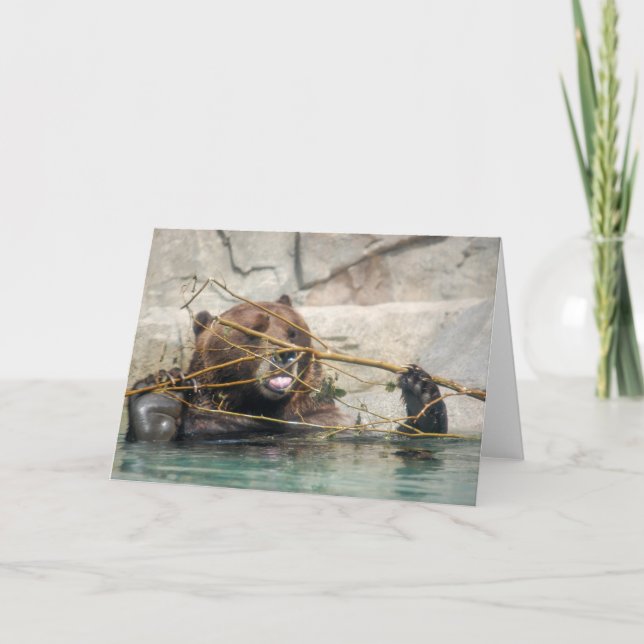 Grizzly Bear Playing in the water Thank You Card (Front)