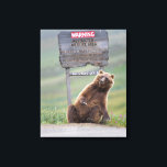 Grizzly Bear Plays With Sign<br><div class="desc">Grizzly bear scratches a roadside sign in Sable Pass,  Denali National Park,  Alaska</div>