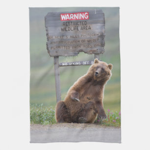 Grizzly Bear Plays With Sign Kitchen Towel