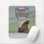 Grizzly Bear Plays With Sign Mouse Pad<br><div class="desc">Grizzly bear scratches a roadside sign in Sable Pass,  Denali National Park,  Alaska</div>