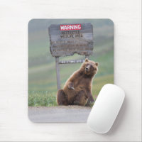 Grizzly Bear Plays With Sign