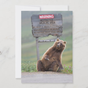 Grizzly Bear Plays With Sign Thank You Card