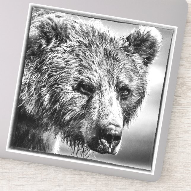 Grizzly bear portrait (Detail)