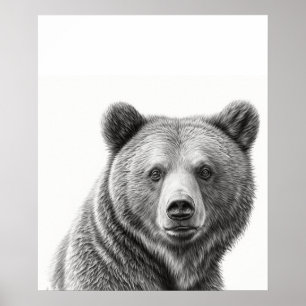 Grizzly Bear Portrait  Black white Poster