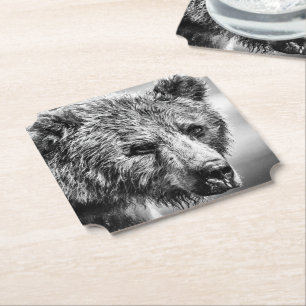 Grizzly bear portrait paper coaster