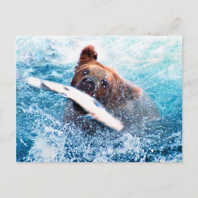 Grizzly Bear Postcard (Front)
