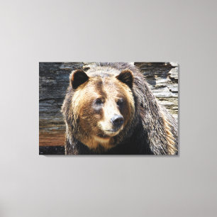 Grizzly Bear Profile Wrapped Canvas Print