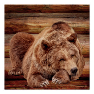 GRIZZLY BEAR RESTING LOG CABIN POSTERS