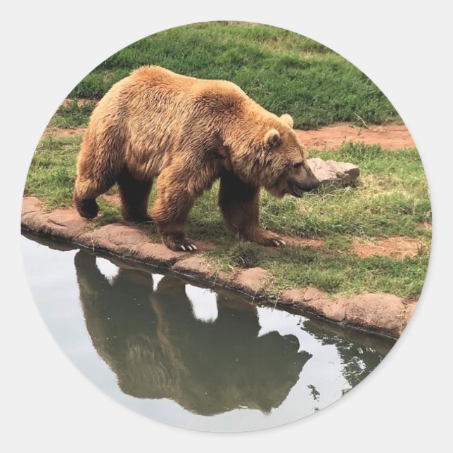 Grizzly Bear Round Sticker (Front)