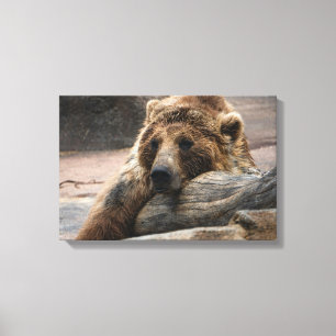 Grizzly Bear sleeping Canvas print