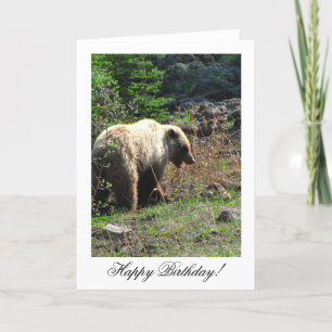 Grizzly Bear Smile; Happy Birthday Card