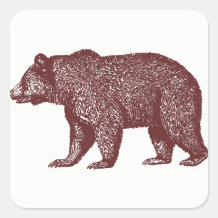 Grizzly Bear Stickers