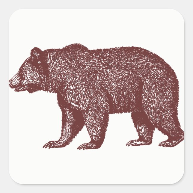Grizzly Bear Stickers (Front)