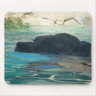 Grizzly Bear Swimming Mouse Pad