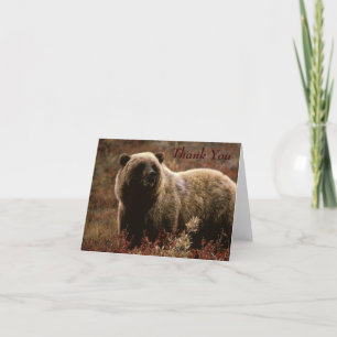 Grizzly Bear Thank You Note Card