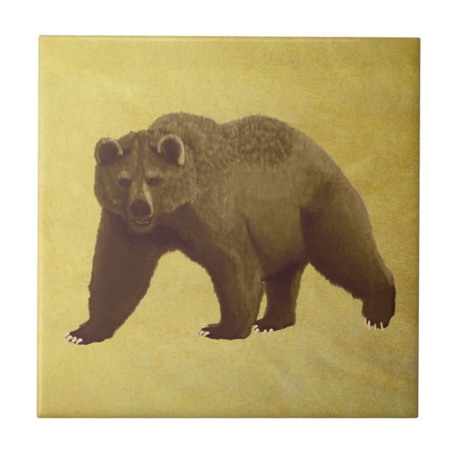 Grizzly Bear Tile (Front)