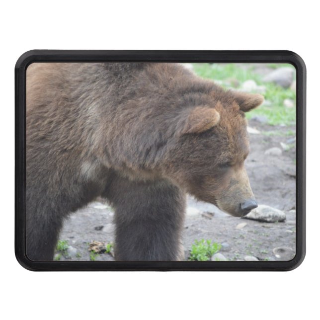 Grizzly Bear Trailer Hitch Cover (Front)
