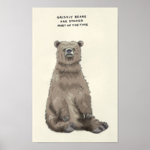 grizzly bear trivia poster